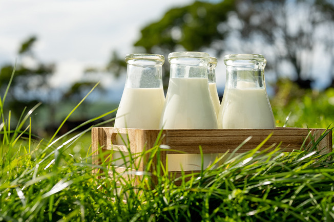 Milk in bottles sitting in a wooden crate in a field