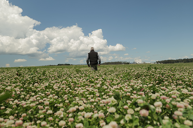 Person waling through a field