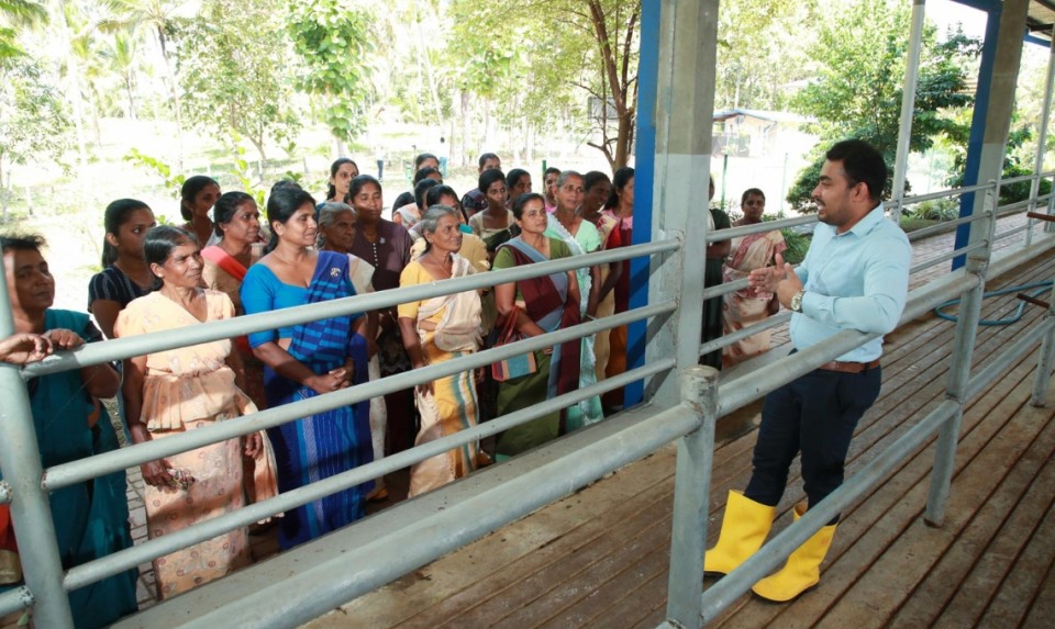 building capability in Sri Lanka’s dairy sector 